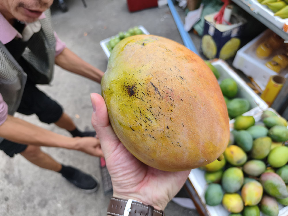海花岛候鸟集市